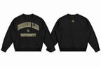University Vintage Wash Crewneck Sweatshirt