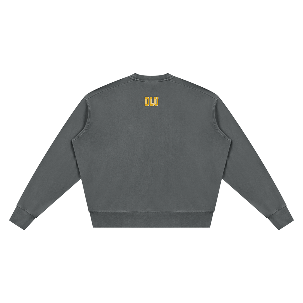 University Vintage Wash Crewneck Sweatshirt