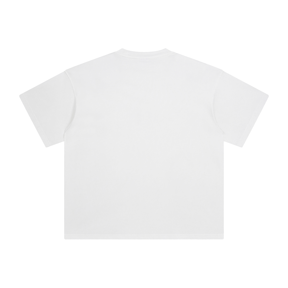 Chiaroscuro Effect Vintage Washed T-Shirt