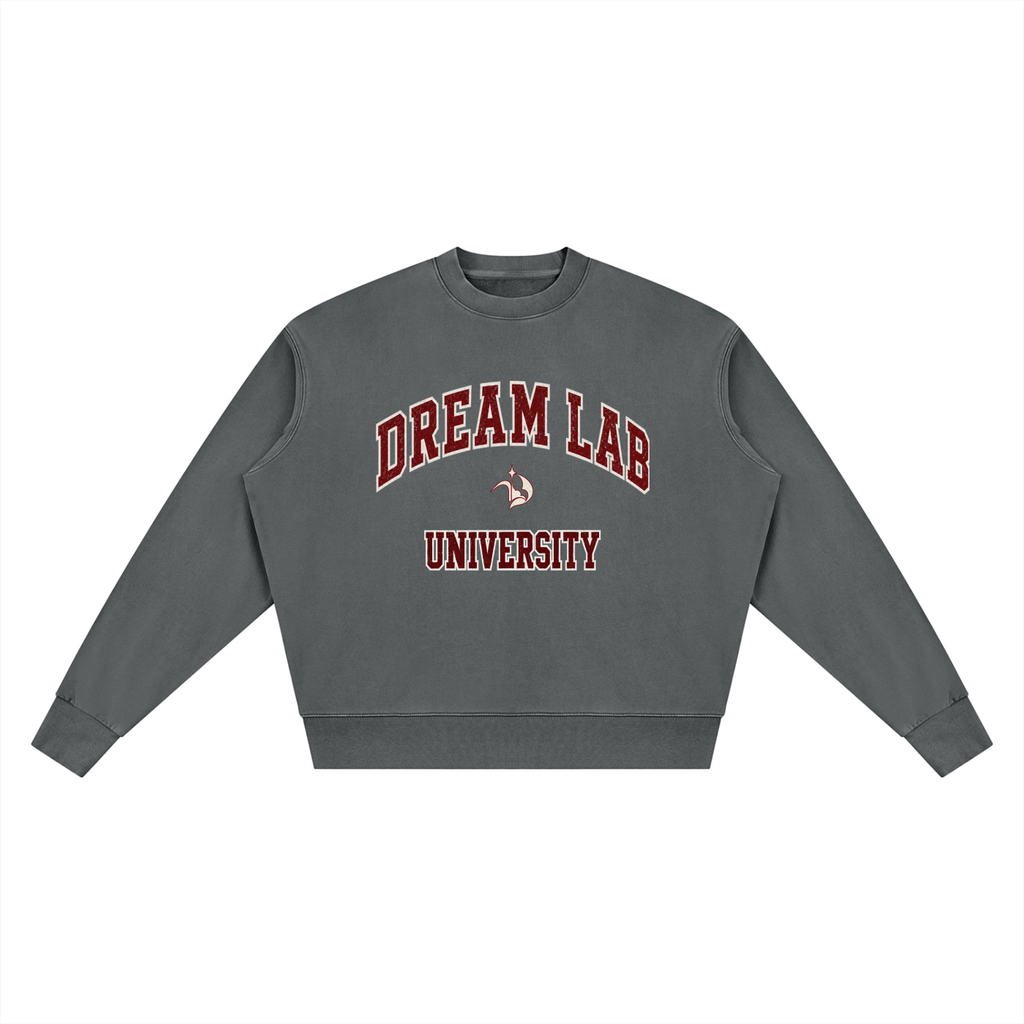 University Vintage Wash Crewneck Sweatshirt