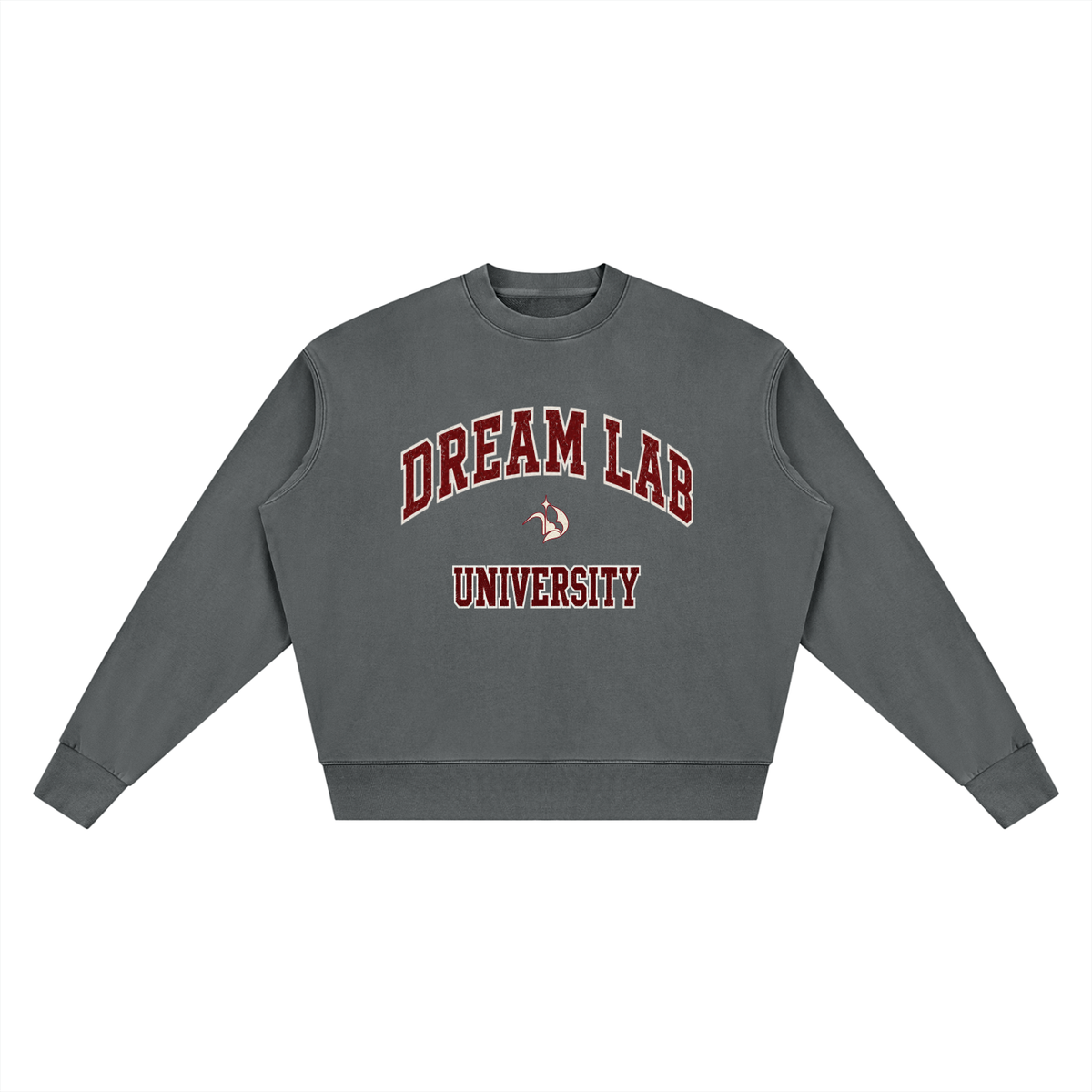 University Vintage Wash Crewneck Sweatshirt