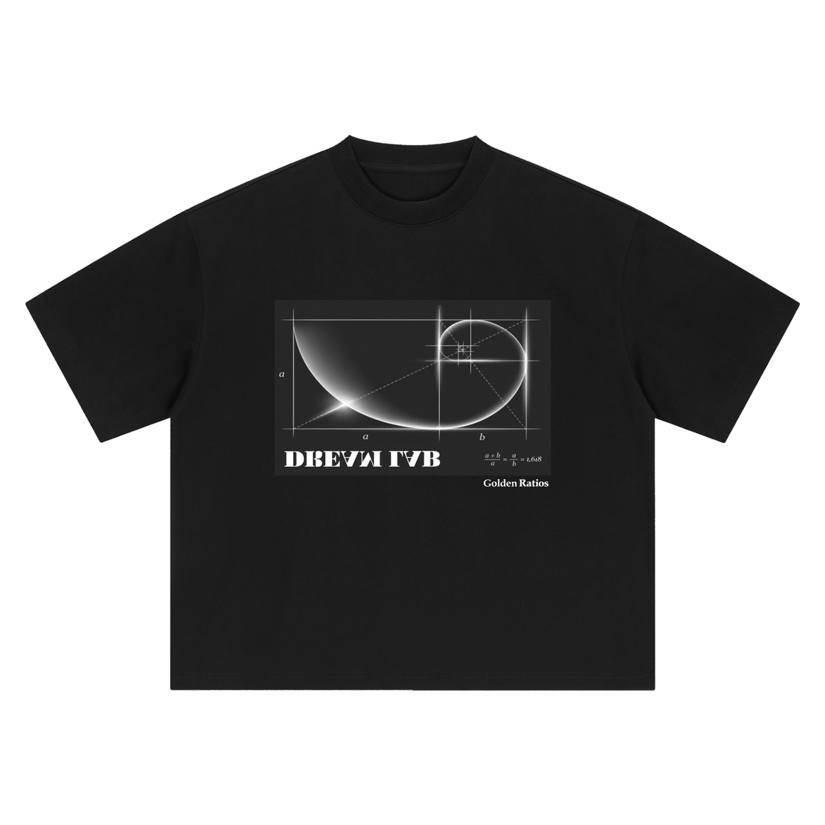 Golden Ratio Formula Oversized T-Shirt
