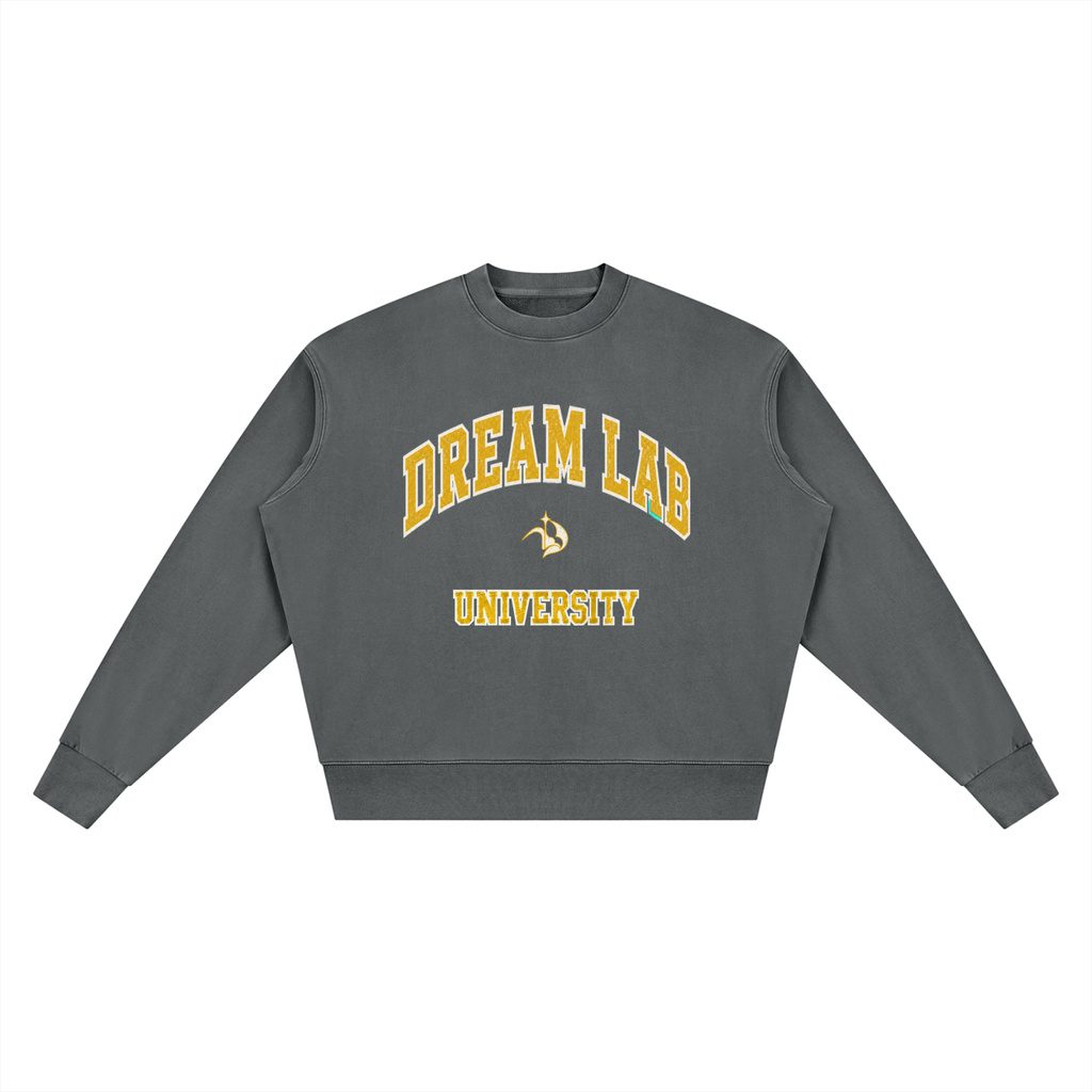 University Vintage Wash Crewneck Sweatshirt