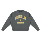 University Vintage Wash Crewneck Sweatshirt