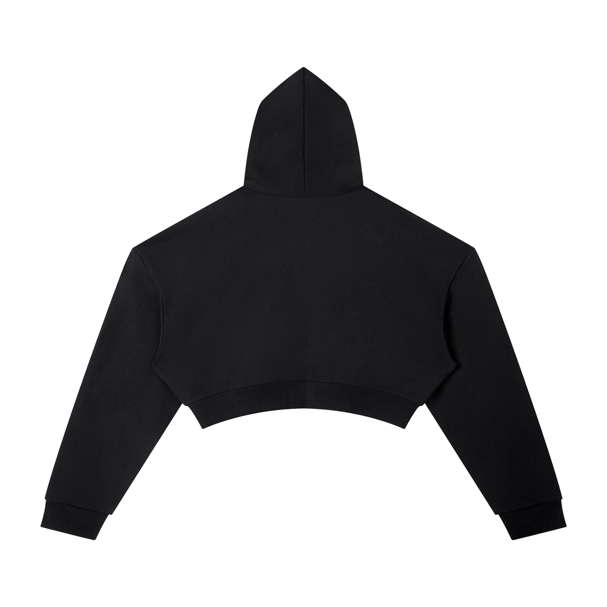 University Cropped Hoodie