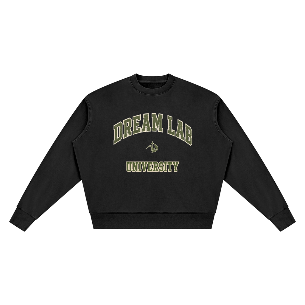 University Vintage Wash Crewneck Sweatshirt