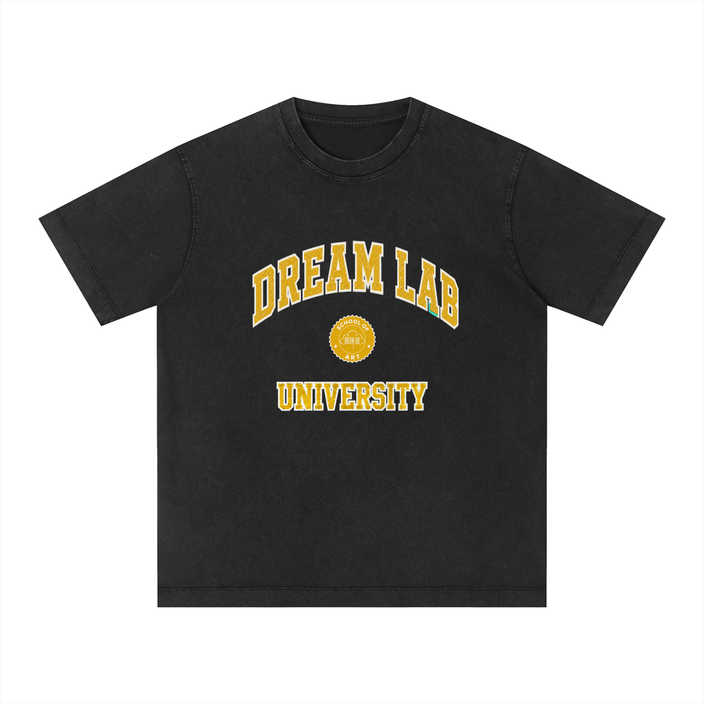 University Vintage Wash Boxy T-Shirt