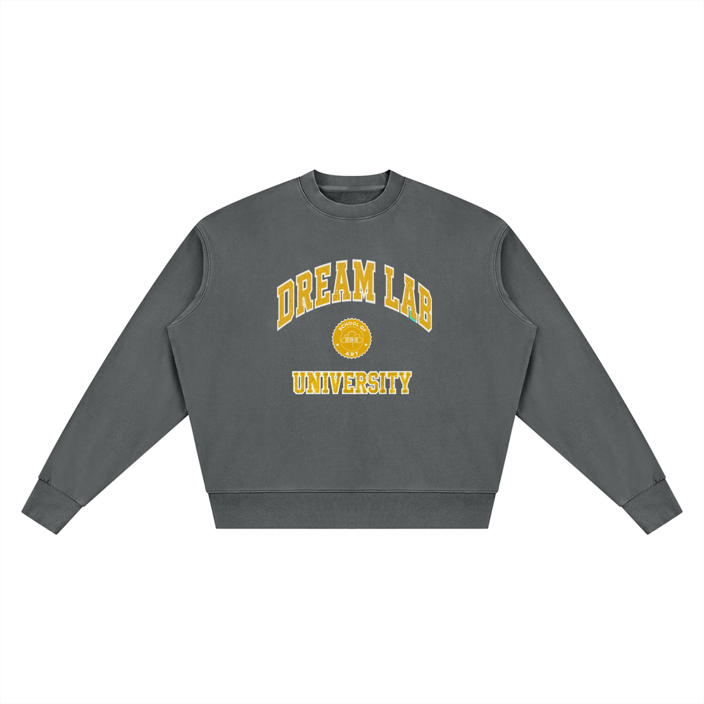 University Vintage Wash Crewneck Sweatshirt
