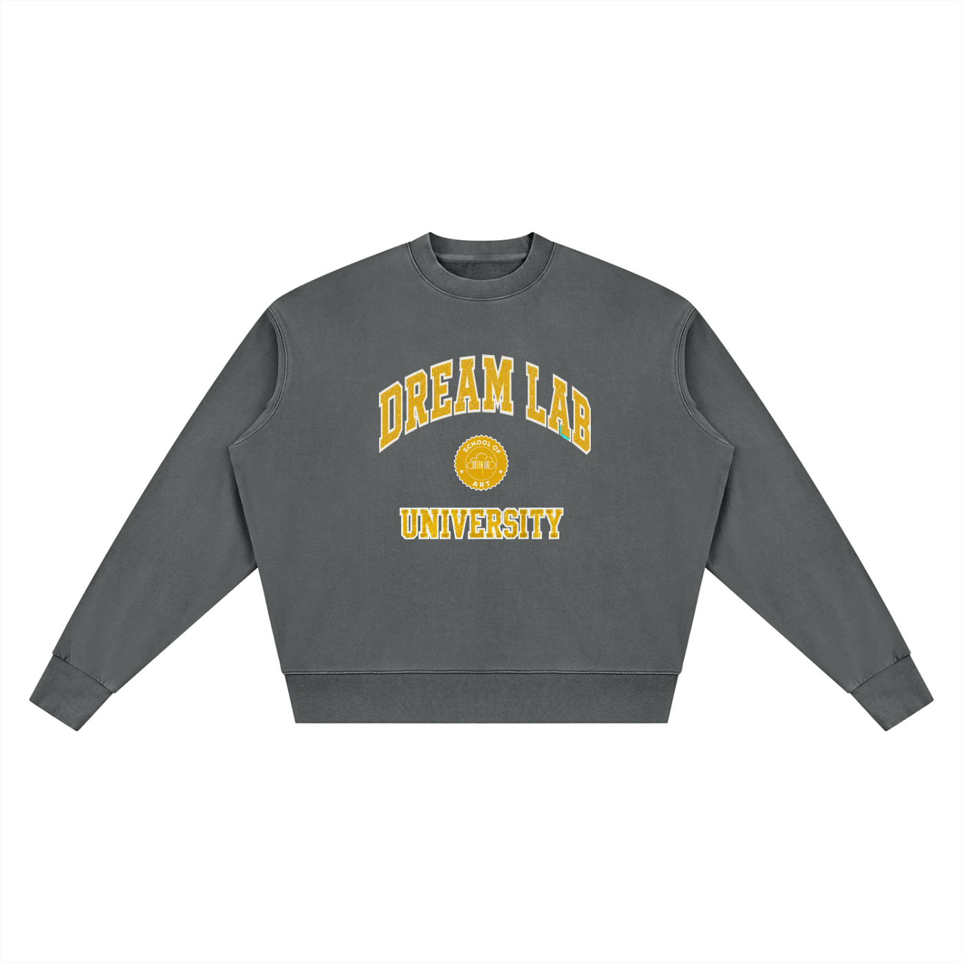 University Vintage Wash Crewneck Sweatshirt