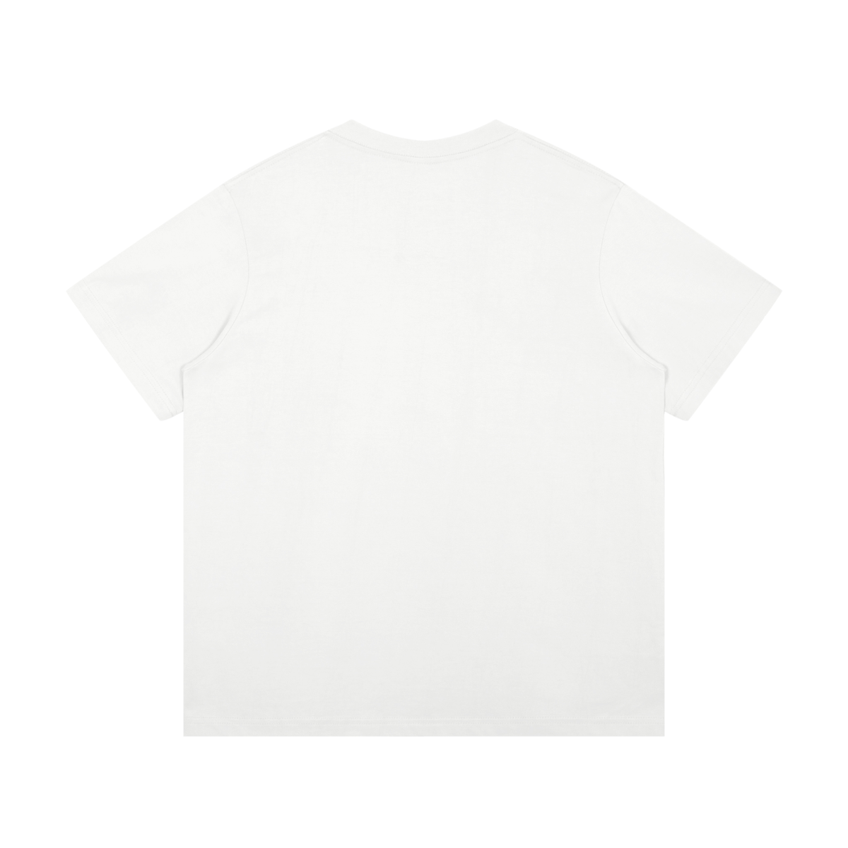 Pablo Mid-Weight Cotton T-Shirt – DREAM LAB